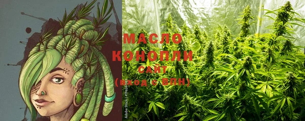 дживик Касимов