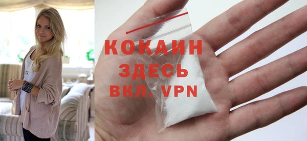 дживик Касимов