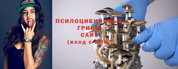 дживик Касимов