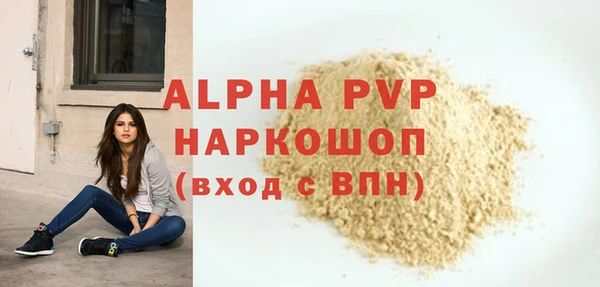 дживик Касимов