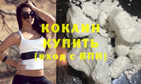 дживик Касимов