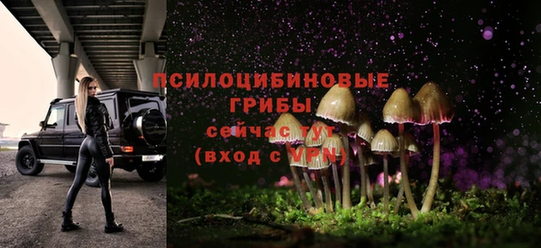 дживик Касимов