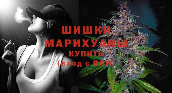 дживик Касимов