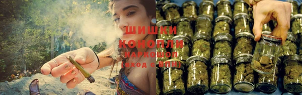 дживик Касимов