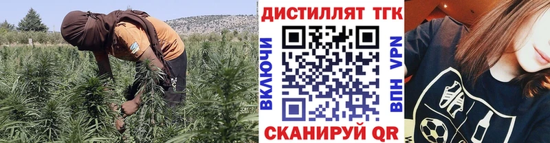Купить  Заволжье  ТГК вейп 