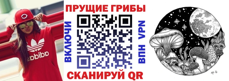 Купить закладки  Заволжье  Галлюциногенные грибы мухоморы 