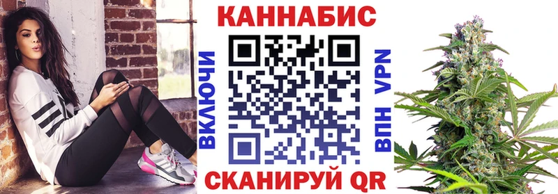 Купить  Заволжье  Конопля гибрид 